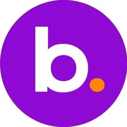 Photo du logo BNS Token [OLD]