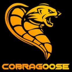 Photo du logo CobraGoose