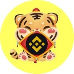 Photo du logo BNB Tiger