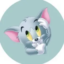 Photo du logo Baby Tomcat