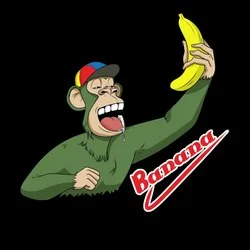 Photo du logo Banana Coin