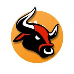 Photo du logo Bitcoin Bull