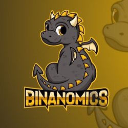 Photo du logo Binanomics