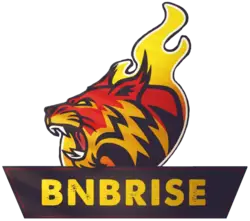 Photo du logo BNBRise