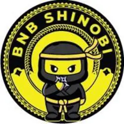 Photo du logo BNB Shinobi