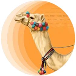 Photo du logo CamelToken