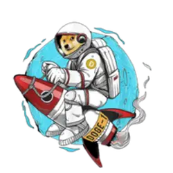 Photo du logo Doge-1 Mission to the moon