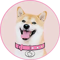 Photo du logo DogeGF