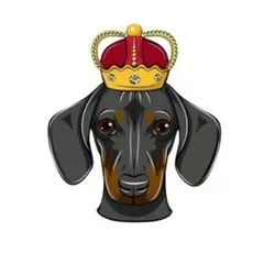 Photo du logo DogeKing