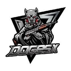 Photo du logo Doge SpaceX
