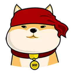 Photo du logo Doge Strap