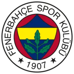 Photo du logo Fenerbahçe Token