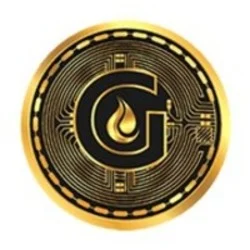 Photo du logo Gascoin