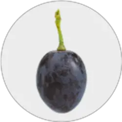 Photo du logo Grape