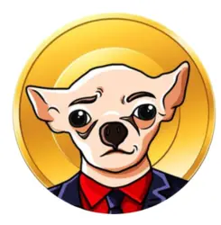 Photo du logo Chihuahua