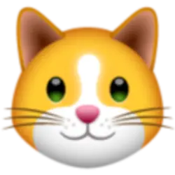 Photo du logo KittenFinance