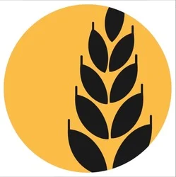 Photo du logo Lua Token