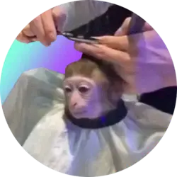 Photo du logo monkeyhaircut