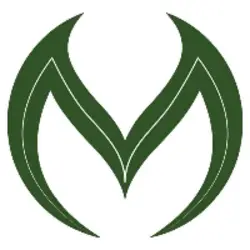 Photo du logo MetaSoldier