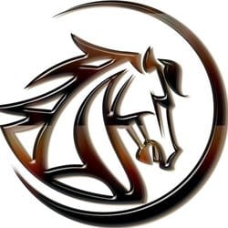 Photo du logo MustangCoin