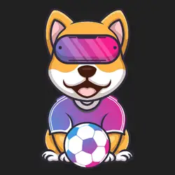 Photo du logo MetaFootball