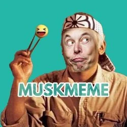 Photo du logo MUSK MEME