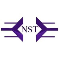Photo du logo NewSolution 2.0