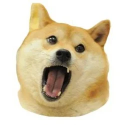 Photo du logo Doge Eat Doge
