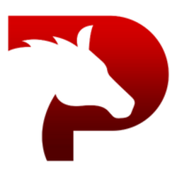 Photo du logo Pegaxy Stone