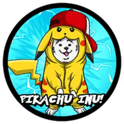 Photo du logo Pikachu Inu