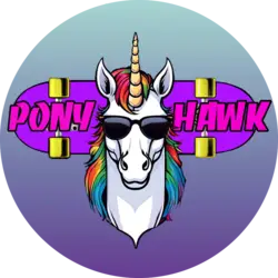 Photo du logo PONYHAWK