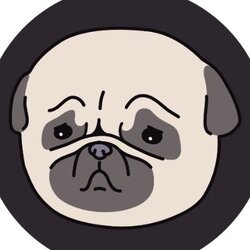 Photo du logo PUGGY Coin