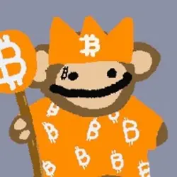 Photo du logo bitcoin puppets solona