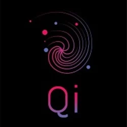 Photo du logo QI Blockchain