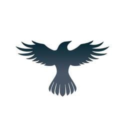 Photo du logo Raven Protocol