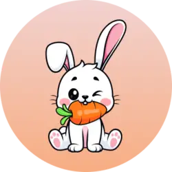 Photo du logo Rabbit Inu