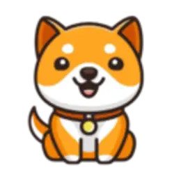 Photo du logo SOL Baby Doge