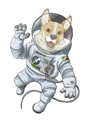Photo du logo SpaceCorgi