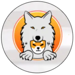 Photo du logo Shibtama