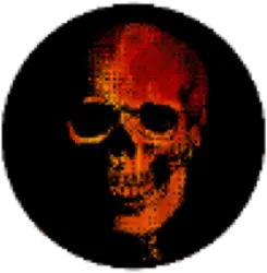 Photo du logo Skull