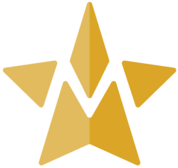 Photo du logo StarShip Token