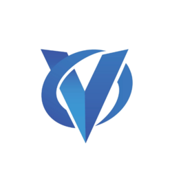 Photo du logo Virtual Goods Token