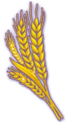 Photo du logo Wheat Token