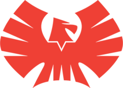 Photo du logo Wonderman Nation